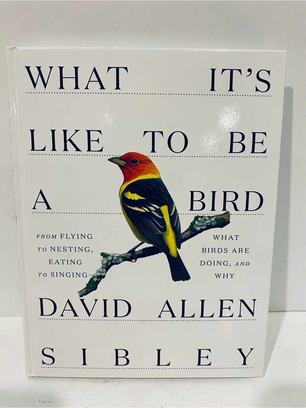 What It' Like to Be a Bird David Allen Sibley Hardcover Book 2020 9780307957894